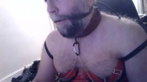 pleasurepuppt online show from January 2025 02:48:02 AM