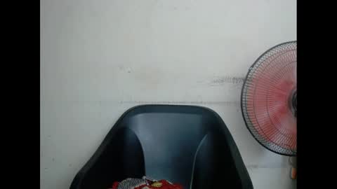 plumnjuicyx online show from February 2025 06:02:01 AM