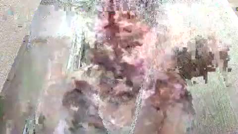 rabbit41390 online show from February 2025 03:52:02 AM