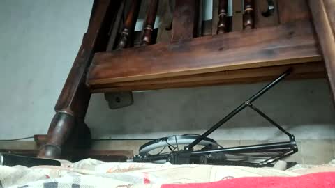 Snapshot of rakeal5 chatting on November 2025 06:12:02 AM Ray online show from November 2025 06:12:02 AM