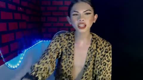 cindy online show from December 2024 03:24:01 AM