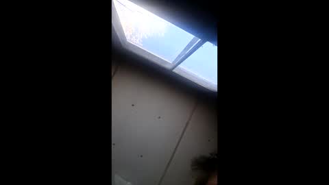 Snapshot of realisararebreed chatting on December 2025 05:42:02 PM realisararebreed online show from December 2025 05:42:02 PM