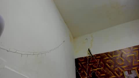 Snapshot of reed_kitty chatting on December 2025 12:42:02 PM reed_kitty online show from December 2025 12:42:02 PM