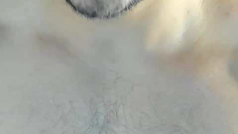 Snapshot of ricardogonzalez666 chatting on December 2024 04:24:01 AM ricardogonzalez666 online show from December 2024 04:24:01 AM