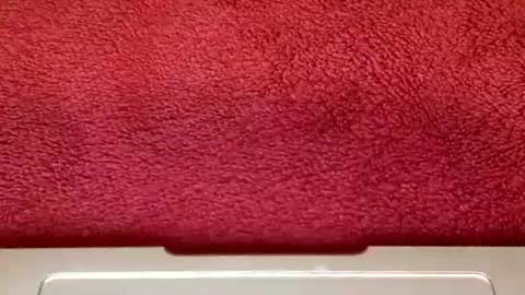 Snapshot of rimalovar chatting on October 2025 06:32:02 AM rimalova online show from October 2025 06:32:02 AM