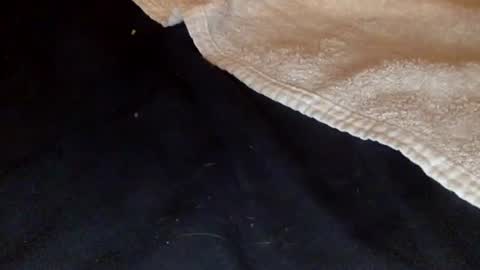 Snapshot of rimalovar chatting on December 2025 01:45:02 AM rimalova online show from December 2025 01:45:02 AM