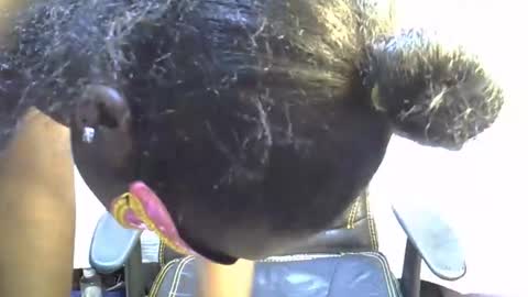 Snapshot of sasha_sexy769 chatting on November 2025 07:10:01 PM sasha_sexy769 online show from November 2025 07:10:01 PM