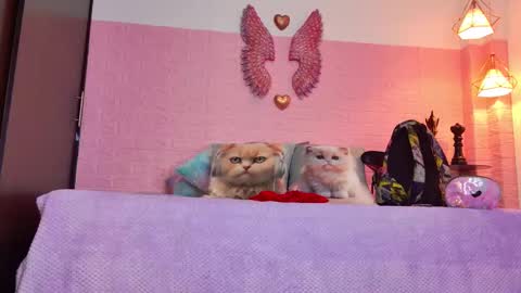 scarlett_099 online show from September 2025 12:06:01 PM