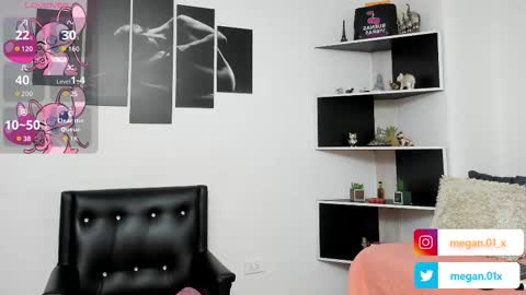 Snapshot of seelena_f chatting on November 2025 10:25:02 AM seelena_f online show from November 2025 10:25:02 AM