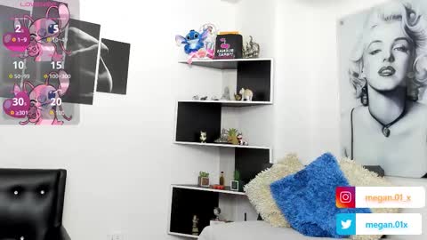 Snapshot of seelena_f chatting on December 2025 10:35:01 AM seelena_f online show from December 2025 10:35:01 AM