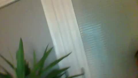 Snapshot of shagnasty69598568 chatting on December 2025 06:50:01 AM shagnasty69598568 online show from December 2025 06:50:01 AM