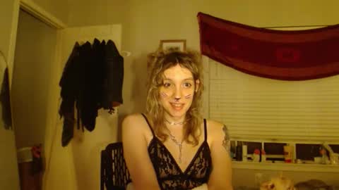 Snapshot of soffpurr chatting on November 2025 08:38:02 AM Lilytea online show from November 2025 08:38:02 AM