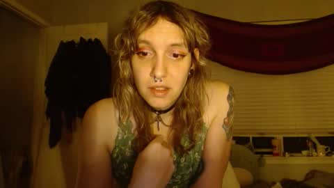 Snapshot of soffpurr chatting on November 2025 07:53:02 AM Lilytea online show from November 2025 07:53:02 AM