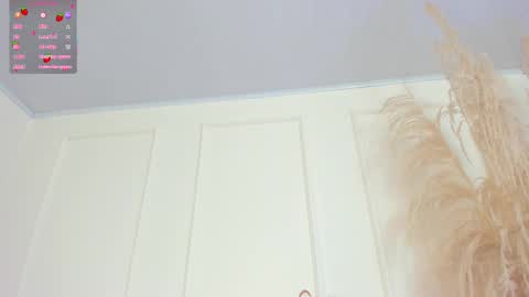 Sol Angel online show from March 2025 12:06:02 PM
