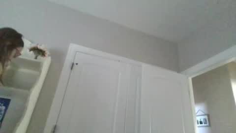 Sophie Bateman online show from March 2025 04:51:02 PM