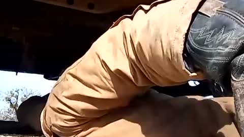 Oval2022 online show from January 2025 06:16:02 PM