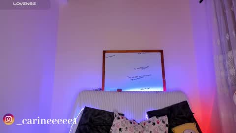 camil online show from December 2024 10:34:01 AM