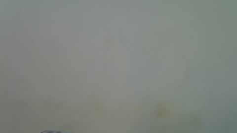 Snapshot of sweetalura chatting on November 2025 09:02:02 AM Alura online show from November 2025 09:02:02 AM