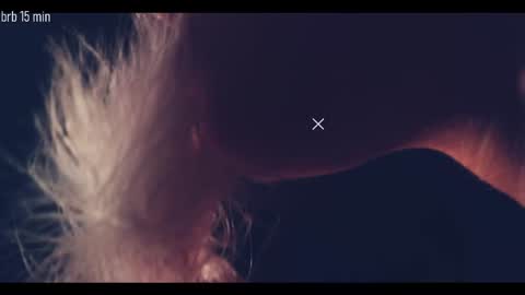 TAANNI online show from September 2025 10:34:02 PM