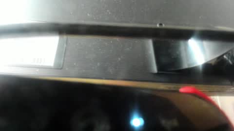 TAMMY  online show from January 2025 08:40:02 AM