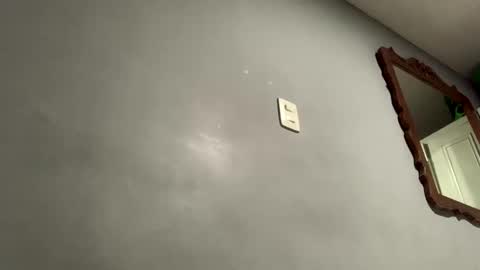 tarren_boys online show from December 2024 05:11:02 AM