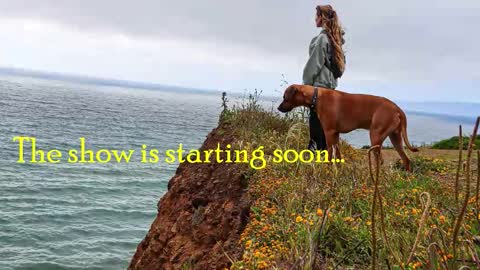 Snapshot of tatum__kahlo chatting on October 2025 10:30:02 PM TATUM ALL MY LINKS online show from October 2025 10:30:02 PM