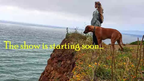 Snapshot of tatum__kahlo chatting on October 2025 11:49:01 PM TATUM ALL MY LINKS online show from October 2025 11:49:01 PM