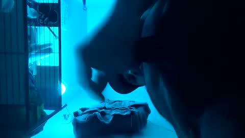 Luis online show from February 2025 02:39:02 AM