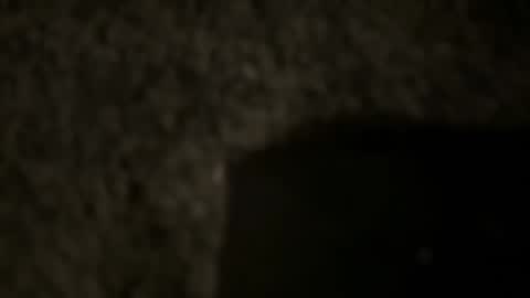 td 78 online show from January 2025 04:31:02 AM