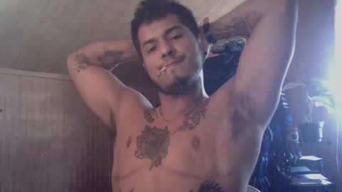 Snapshot of testotease chatting on December 2024 03:53:02 PM Milo online show from December 2024 03:53:02 PM