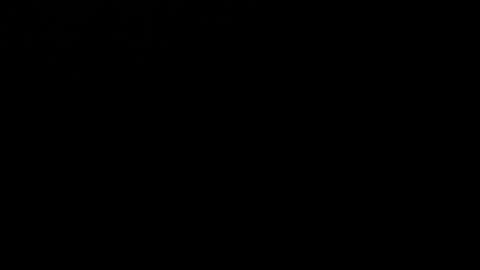 CJ online show from January 2025 06:28:02 AM