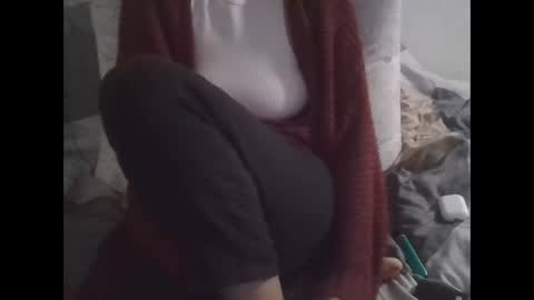 Snapshot of the_borderlands chatting on November 2025 11:42:01 AM the crazy travellers online show from November 2025 11:42:01 AM