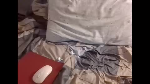 Snapshot of the_borderlands chatting on December 2025 08:52:01 AM the crazy travellers online show from December 2025 08:52:01 AM