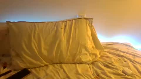 Snapshot of the_borderlands chatting on December 2025 04:25:02 PM the crazy travellers online show from December 2025 04:25:02 PM