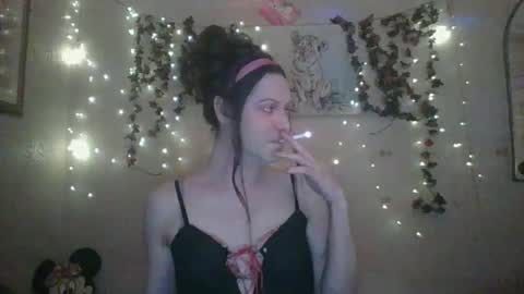 Snapshot of thesillymillie chatting on December 2024 02:03:02 AM sillymillie0 online show from December 2024 02:03:02 AM