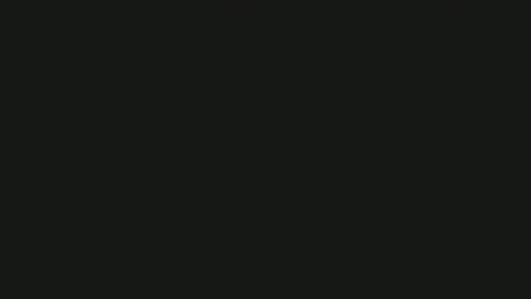 thick2handcurve online show from December 2024 11:24:01 AM