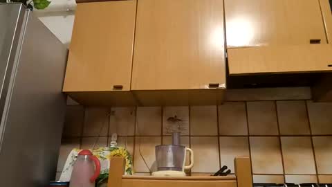 Little Wolf  online show from November 2025 05:34:01 PM