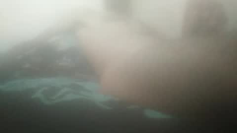 Snapshot of tiger005588 chatting on September 2025 11:11:01 AM tiger005588 online show from September 2025 11:11:01 AM