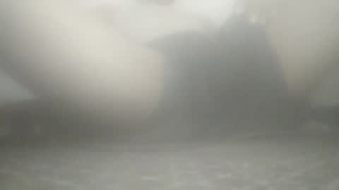 Snapshot of tiger005588 chatting on November 2025 09:08:02 AM tiger005588 online show from November 2025 09:08:02 AM