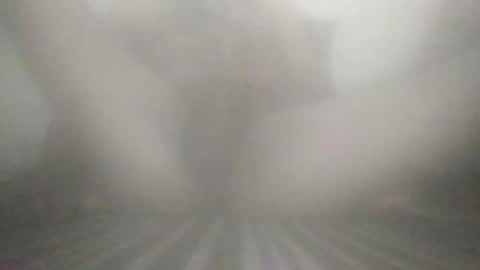 Snapshot of tiger005588 chatting on December 2025 07:53:02 PM tiger005588 online show from December 2025 07:53:02 PM