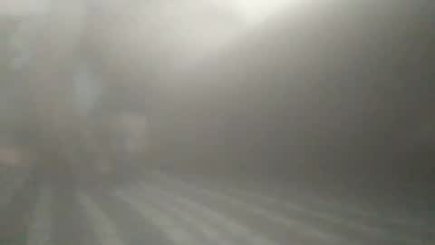 Snapshot of tiger005588 chatting on December 2025 04:01:02 PM tiger005588 online show from December 2025 04:01:02 PM