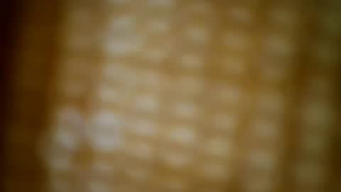 tomtresor online show from December 2025 05:13:01 AM