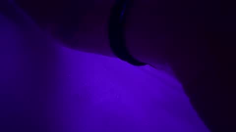 triplehero online show from December 2024 12:54:01 AM