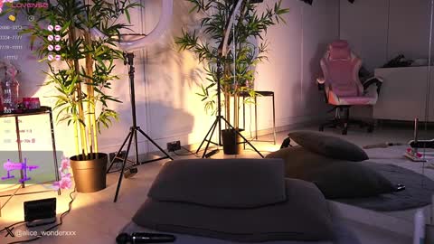 Vanessa Simon online show from January 2025 11:44:02 AM