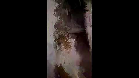 Snapshot of whitelava_4u chatting on December 2025 03:01:01 AM whitelava_4u online show from December 2025 03:01:01 AM