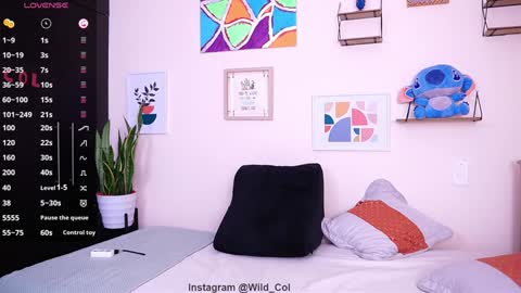 wild_col online show from January 2025 10:49:01 AM