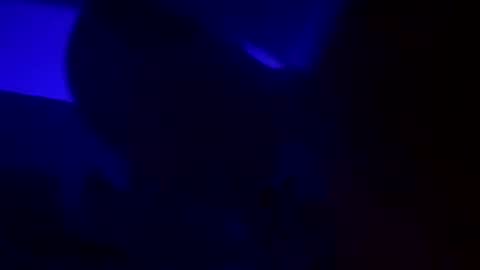 Snapshot of wolf41xxx chatting on December 2024 05:13:01 AM WolfX online show from December 2024 05:13:01 AM