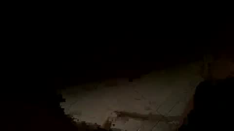 Snapshot of wolf41xxx chatting on November 2025 02:21:01 AM WolfX online show from November 2025 02:21:01 AM