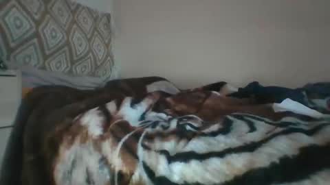 Snapshot of xorner1 chatting on December 2024 12:13:01 PM Horny hotty online show from December 2024 12:13:01 PM