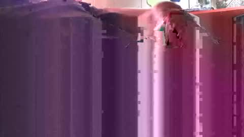 Snapshot of yangolox3 chatting on October 2025 05:00:01 PM yangolox3 online show from October 2025 05:00:01 PM